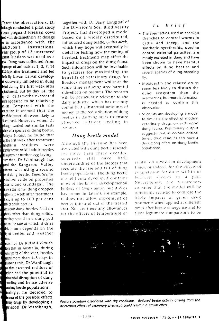 1999 Page 133